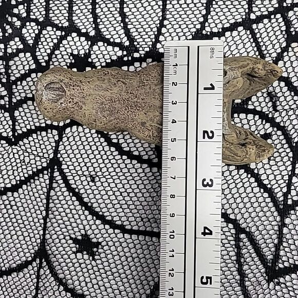 Crocodile Skull Fish Tank Aquarium Decoration - Picture 8 of 9